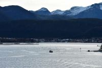 Hurtigruten - M/S Trollfjord - unterwegs entlang der Märchenküste Helgeland in der Provinz Nordland