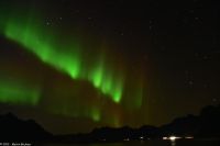 Hurtigruten - M/S Trollfjord - Polarlicht im Raftsund (Lofoten)
