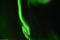 Polarlicht über dem Vestfjord