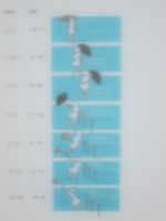 verblasstes Foto am Mt. Victoria den Wind betreffend