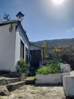 Icod de los Viños
