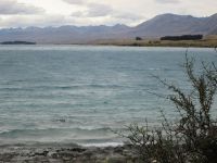 Tekapo See