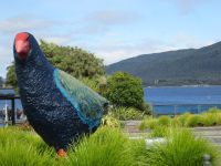 Te Anau: T