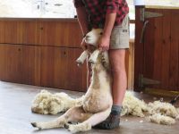 ...geschafft, ich bin 