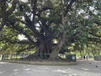 Spaziergang durch die Innenstadt