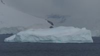 Fahrt durch die Wilhelmina Bay