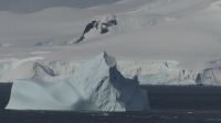 Fahrt durch die Wilhelmina Bay