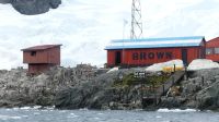 Bootstour in Skontorp Cove - argentinische Forschungsstation 