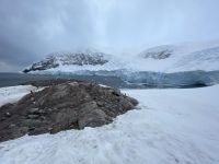 Landgang in Neko Harbour 