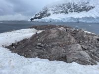 Landgang in Neko Harbour 