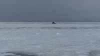 Bootstour in Fournier Bay