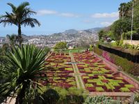 Botanischer Garten von Funchal