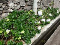 Levada Wanderung
