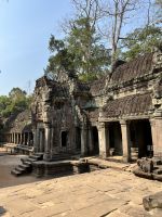 174 Ta Prohm.jpeg
