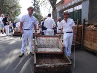 Monte - Start der Korbschlittenfahrt