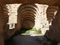 Tag 3 12.03.2023 Jerash 