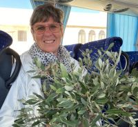 Tag 4 13.03.2023 Ölzweige vom Berg Nebo