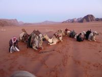 Tag 7 16.03.2023 Kamelritt in den Sonnenaufgang