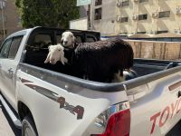 Tag 4 13.03.2023 Unterwegs