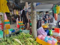 Cameron Highlands, örtlicher Markt