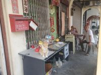 Georgetown, Gasse, Verkauf White Coffee