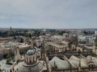Sevilla: Blick von der Giralda