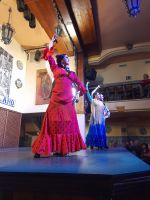 Flamenco Show