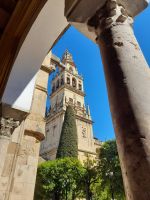 Cordoba: Mezquita Cathedral