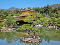 Kyoto - Kinkakuji-Tempel (Goldener Pavillon)
