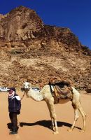 Ein weißes Kamel mit Besitzer im Wadi Rum