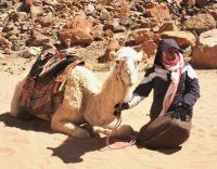 Ein Beduine mit seinem Kamel im Wadi Rum