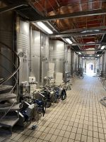 Produktion im Weingut Macia Batle