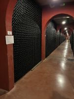 Lagerung vom Wein