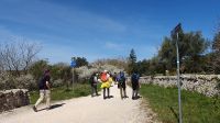 Wanderweg auf dem Aquädukt