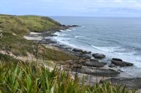 Tag 5 - Neuseeland - Signal Station Track Scenic Lookout (3)