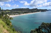 Tag 8 - Neuseeland - Coromandel-Halbinsel - Hahei (6)