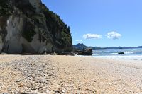 Tag 8 - Neuseeland - Coromandel-Halbinsel - Lonely Beach (1)
