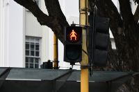 Tag 11 - Neuseeland - Wellington (8)