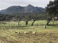 Grazalema 