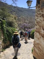Alpujarra 