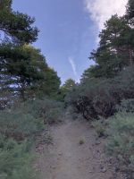Sierra nevada