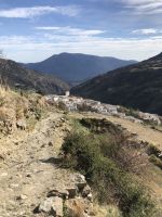 Sierra nevada 