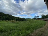 Kuranda Scenic Railway