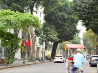 eine Rikschafahrt ist fein