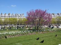 Tag 3 08.04.2023 Jardin des Tuileries