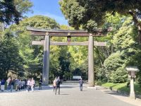 Yoyogi Park 