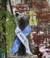 Hachiko Shibuya 