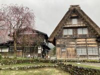 Shirakawago
