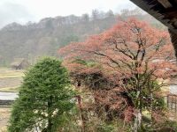 Shirakawago
