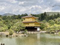 Kinkakuji-Tempel (Goldener Pavillon) 